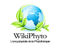 Fitot_WikiPhyto-FR.png
