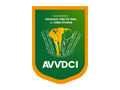 Vvn_AVVDCI-AB-CI.png