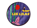 Vvn_VVDLL-SS-IF-FR.png
